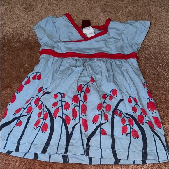 Tea Collection Light Blue Dress with Red Floral Design - Picture 1 of 3